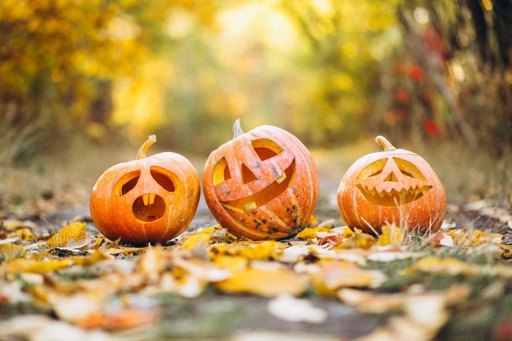 pumpkin, halloween, tradition-6720424.jpg